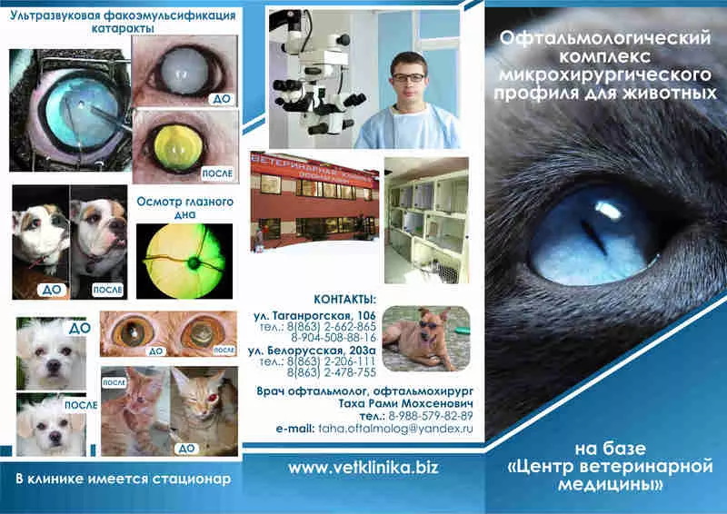 Лечение глаз животных Ростов-на-Дону